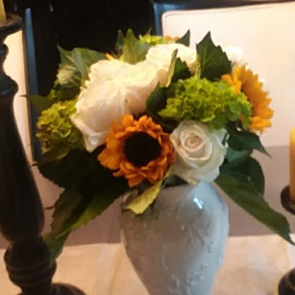 Meet your Posher, Melody - Picture 3 of 3